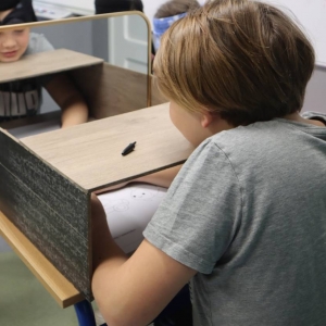 pokaż obrazek - Niebieskie Igrzyska 2025 - część edukacyjna