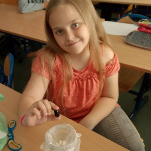 pokaż obrazek -  Trzecioklasiści hodują fasolę