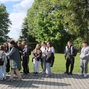 pokaż obrazek - 