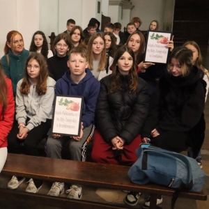 pokaż obrazek - 