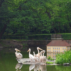 pokaż obrazek - Wycieczka do Wejherowa