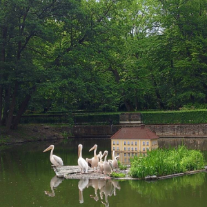 pokaż obrazek - Wycieczka do Wejherowa