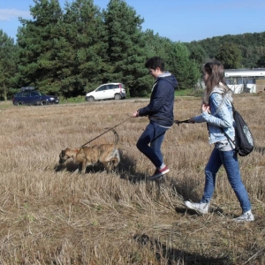 pokaż obrazek - 