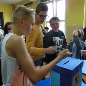 pokaż obrazek - 