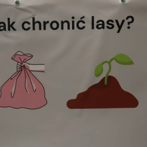pokaż obrazek - Warsztaty