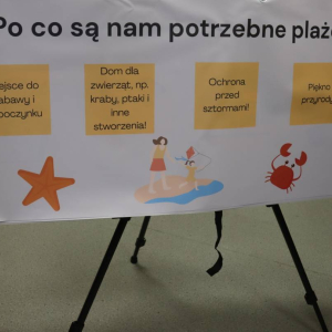 pokaż obrazek - Warsztaty