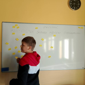 pokaż obrazek - 
