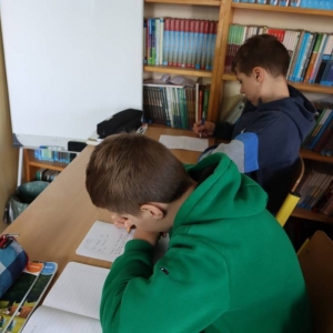 pokaż obrazek - 