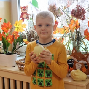 pokaż obrazek - Dzień Dyni w oddziale przedszkolnym