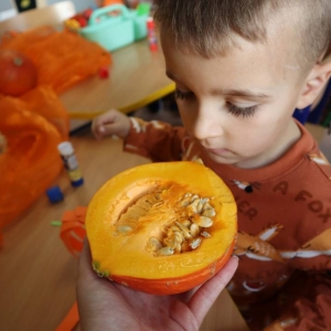 pokaż obrazek - Dzień Dyni w oddziale przedszkolnym