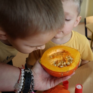 pokaż obrazek - Dzień Dyni w oddziale przedszkolnym