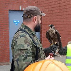 pokaż obrazek - Warsztaty ekologiczne