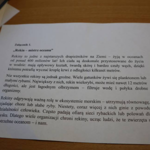 pokaż obrazek - 