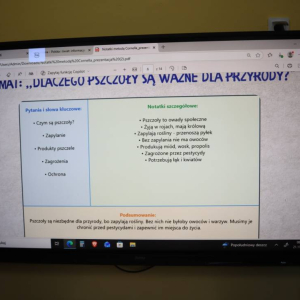 pokaż obrazek - 
