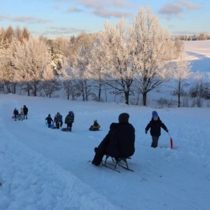 pokaż obrazek - Hej, na sanki!