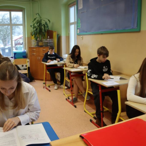 pokaż obrazek - Próbny egzamin ósmoklasisty
