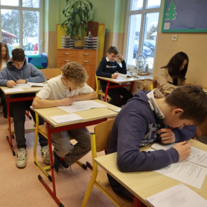 pokaż obrazek - Próbny egzamin ósmoklasisty