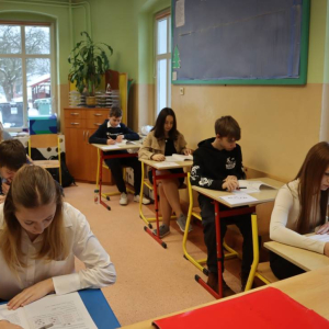 pokaż obrazek - Próbny egzamin ósmoklasisty