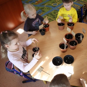 pokaż obrazek - Zajęcia przyrodnicze w oddziale przedszkolnym