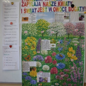 pokaż obrazek - Co tak bzyczy?