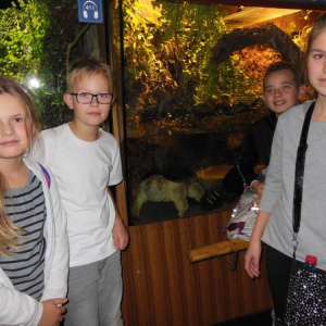 pokaż obrazek - 