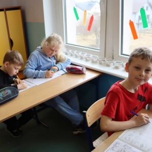 pokaż obrazek - Jak oczyścić powietrze? 