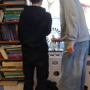 pokaż obrazek - Projekt edukacyjny
