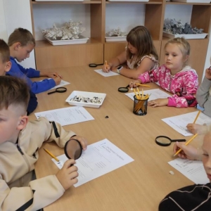 pokaż obrazek - Wycieczka do Akwarium Gdyńskiego