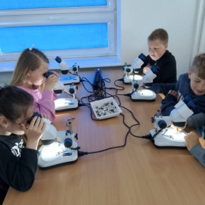 pokaż obrazek - Wycieczka do Akwarium Gdyńskiego