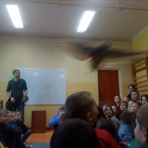 pokaż obrazek - 