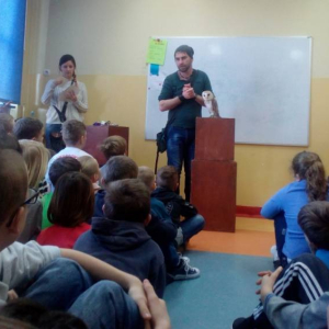 pokaż obrazek - 
