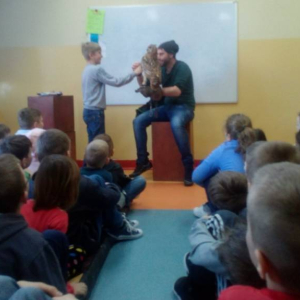 pokaż obrazek - 