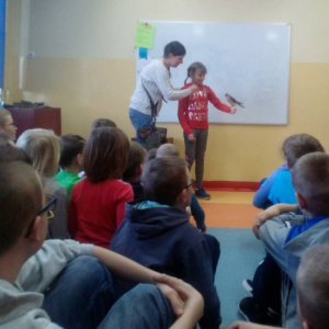 pokaż obrazek - 
