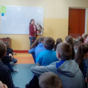 pokaż obrazek - 