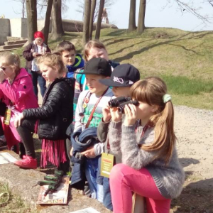 pokaż obrazek - 