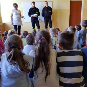 pokaż obrazek - 