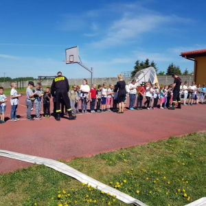 pokaż obrazek - 