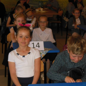 pokaż obrazek - 