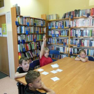 pokaż obrazek - 