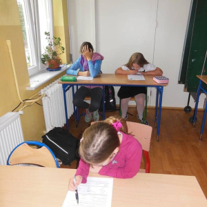 pokaż obrazek - 