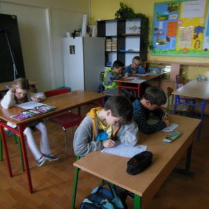 pokaż obrazek - 
