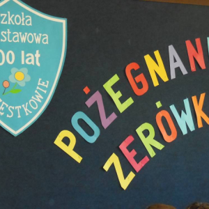 pokaż obrazek - 