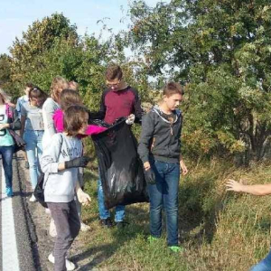 pokaż obrazek - 