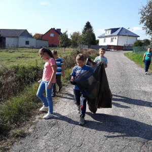 pokaż obrazek - 