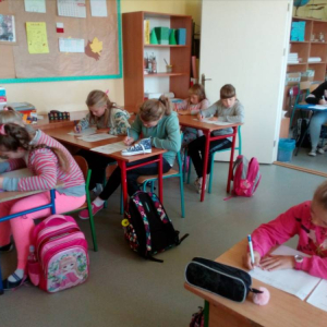 pokaż obrazek - 