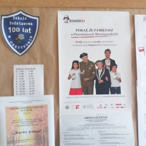 pokaż obrazek - 