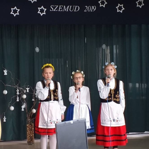 pokaż obrazek - 