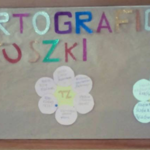 pokaż obrazek - 