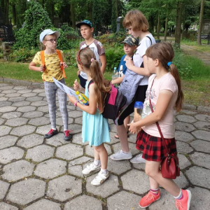pokaż obrazek - 