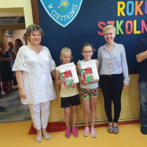 pokaż obrazek - 